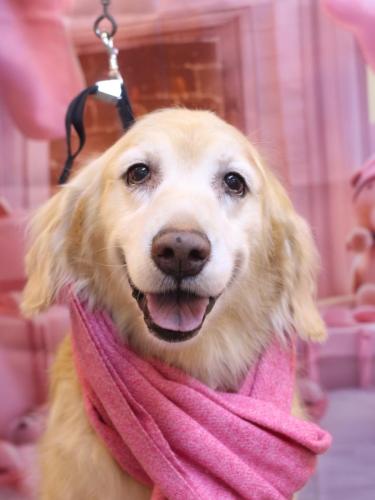 20241224ヒナちゃん